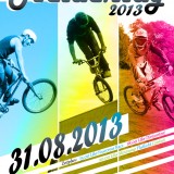 Heldentag_2013_Plakat_web